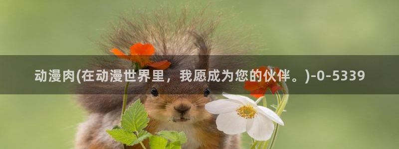 动漫本子