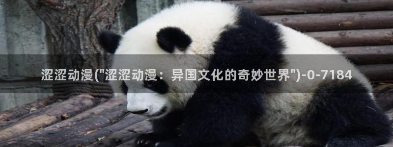 在线动漫
