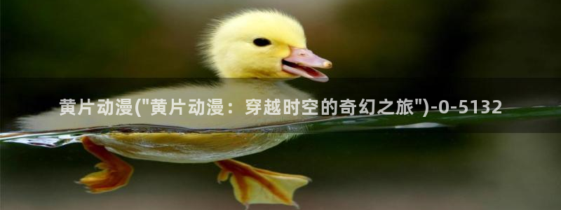 免费动漫