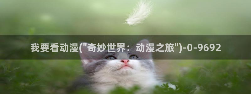 完美世界动漫