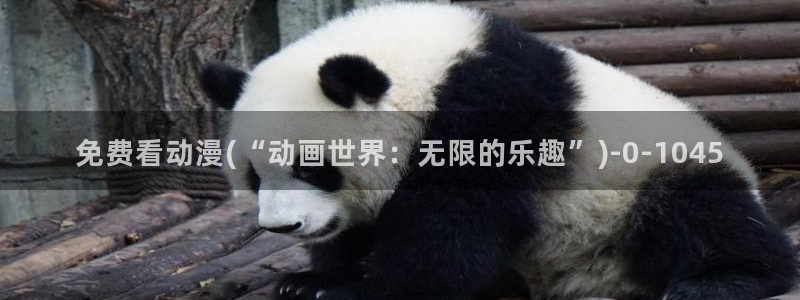 海贼王动漫