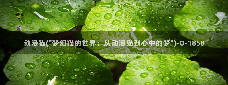 58动漫